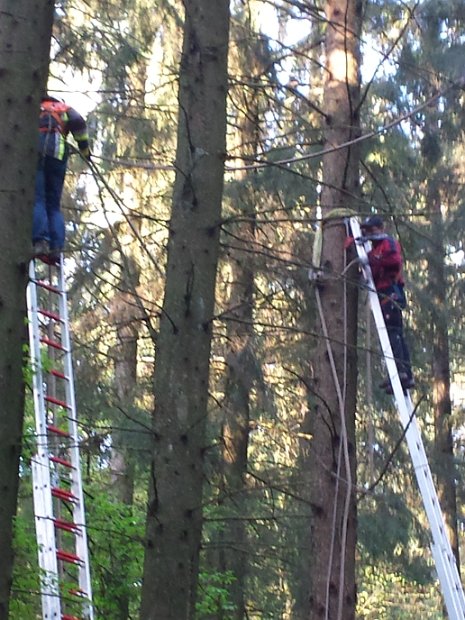 Maibaum_2016 (2)